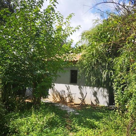 Villa Griseor Porto-Vecchio  Ngoại thất bức ảnh