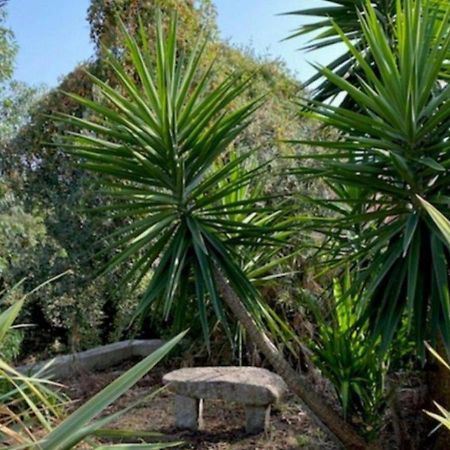 Villa Griseor Porto-Vecchio  Ngoại thất bức ảnh