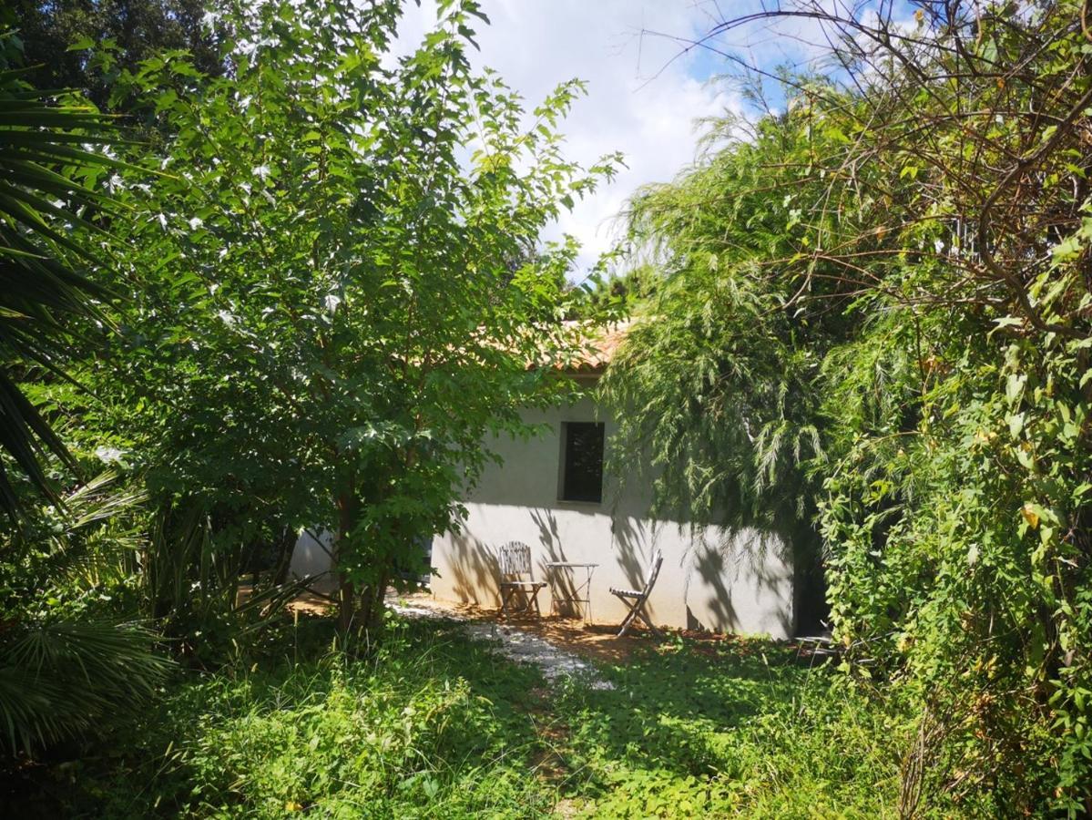 Villa Griseor Porto-Vecchio  Ngoại thất bức ảnh