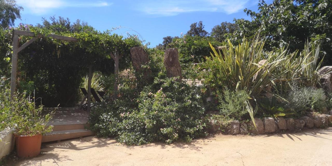 Villa Griseor Porto-Vecchio  Ngoại thất bức ảnh